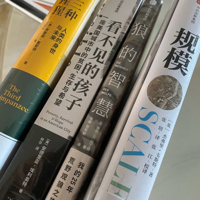 读了规模：从复杂的问题中找到规律法则