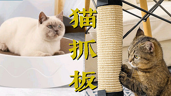 和猫住 篇五：“猫抓板”选的好，主子休闲娱乐玩得欢！
