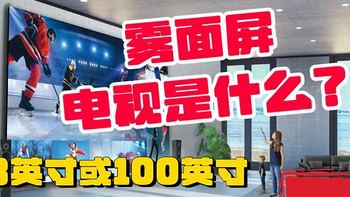 雾面屏电视是什么？98英寸或100英寸有哪些值得买？详细选购建议