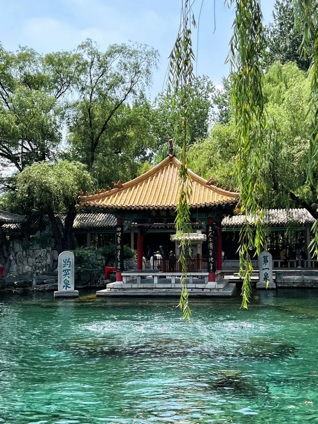 真诚的邀请全国人民来济南避暑！！！