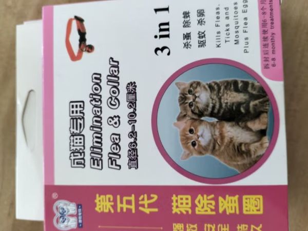 每到暑假回老家，带猫咪最烦跳蚤