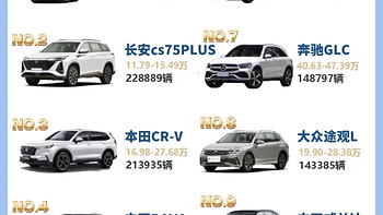 燃油SUV PK 新能源SUV，谁更能打？