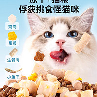 冻干猫粮：口感美味，营养丰富的喵星人最爱
