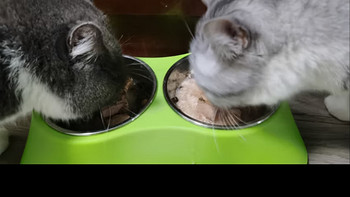 麦富迪猫罐头 成幼猫通用宠物猫零食湿粮 浓汁混合装85g*24