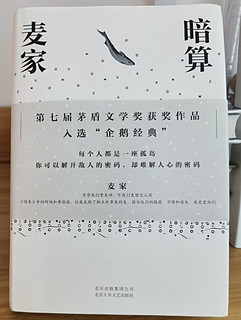 矛盾文学获奖作品推荐，麦家-《暗算》