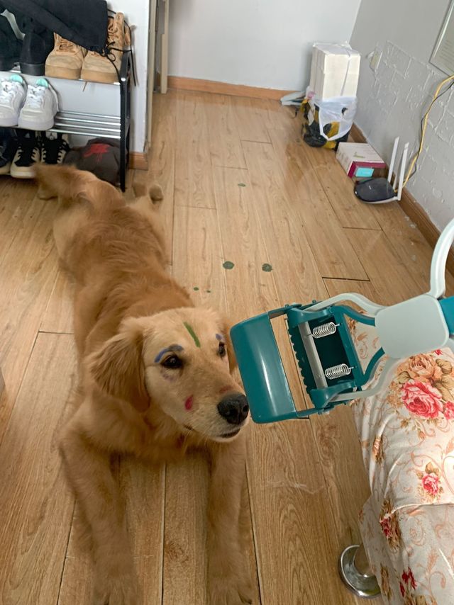 狗狗拾便器外出遛狗捡便器夹便狗便工具