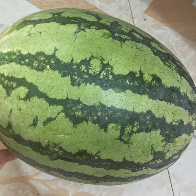 新鲜水果