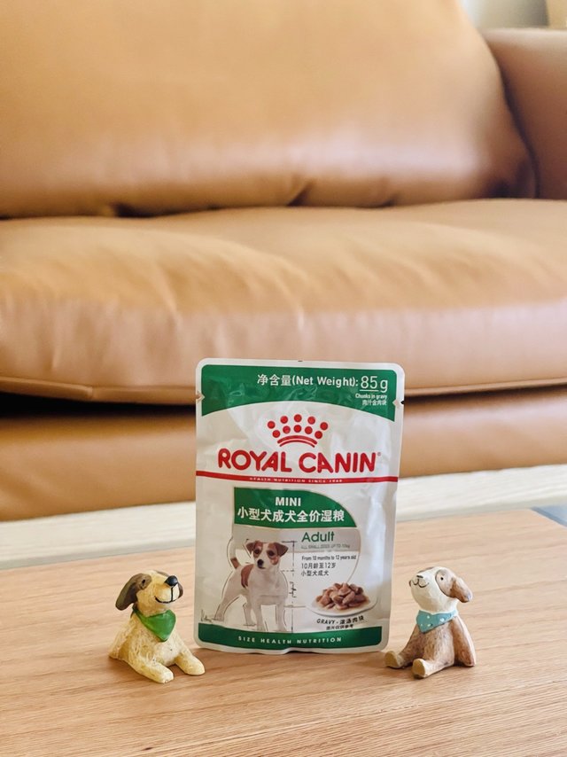 天气太热，给狗子整点湿粮吧！