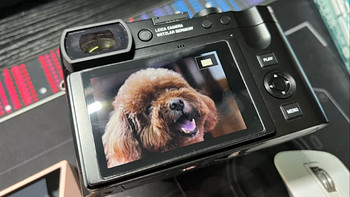 徕卡（Leica）Q3全画幅便携数码相机/微单相机 黑色19080
