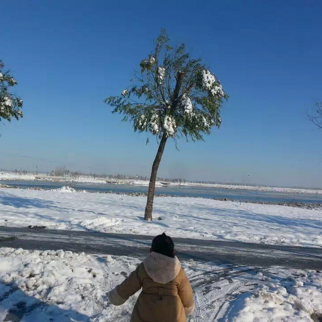 2015年留下的老照片大雪