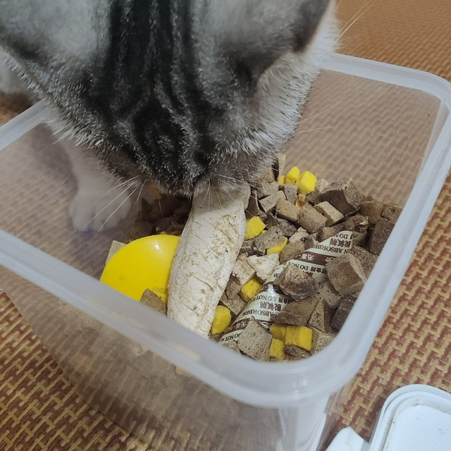 小猫咪无法拒绝的美食冻干！