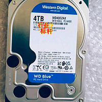 大容量数据仓库——西部数据蓝盘机械硬盘4T