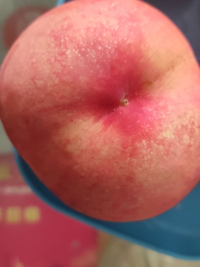 唐鲜生其他水果