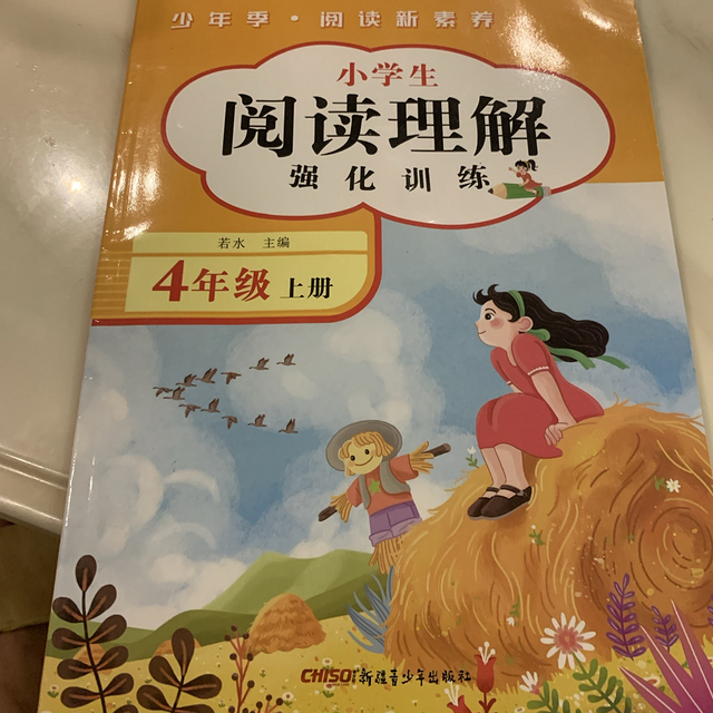 小学生阅读理解