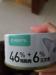 猫咪的饭后甜点