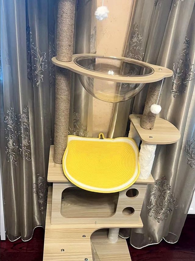 铲屎官好物评选~~猫爬架