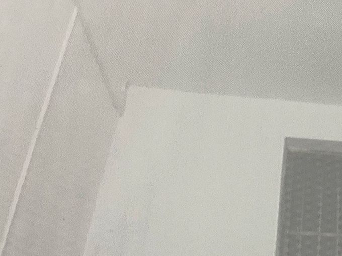 蚊帐