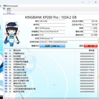 花费8.3元解决零刻 SER5 R5-5500U 固态散热问题，轻松降温十几度。