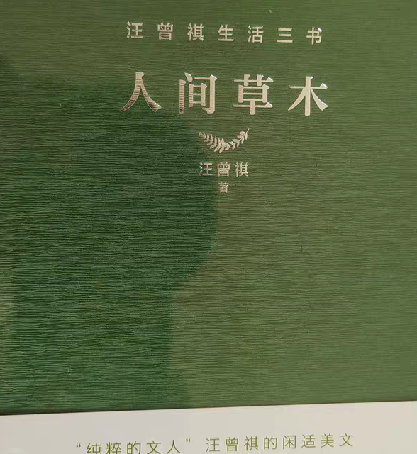 最近读了《人间草木》汪曾祺