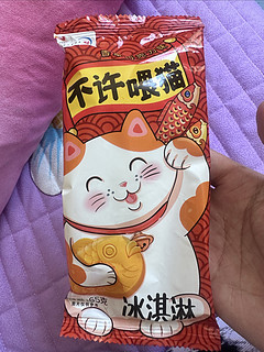 夏日必备-不许喂猫咪🐱冰淇淋