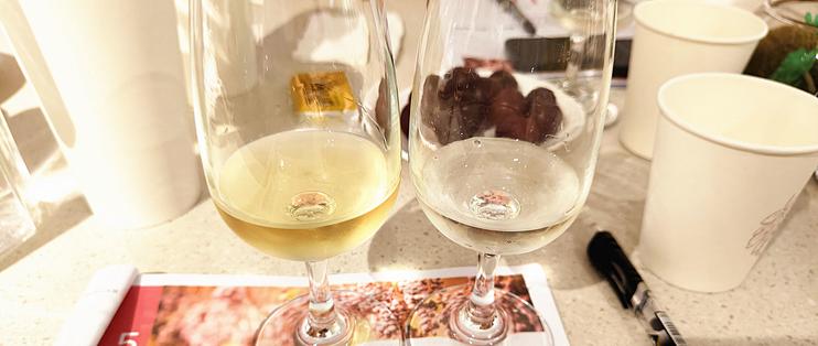 感谢张大妈，白嫖了价值1680元的WSET1葡萄酒品鉴师课程（7.16青岛）
