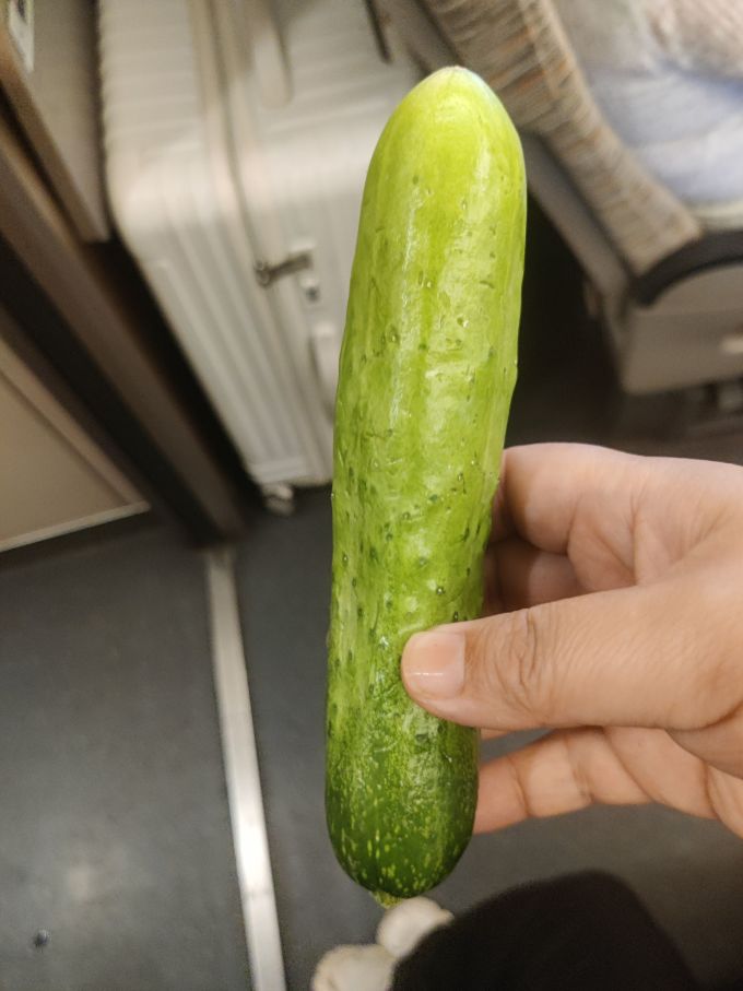 蔬菜