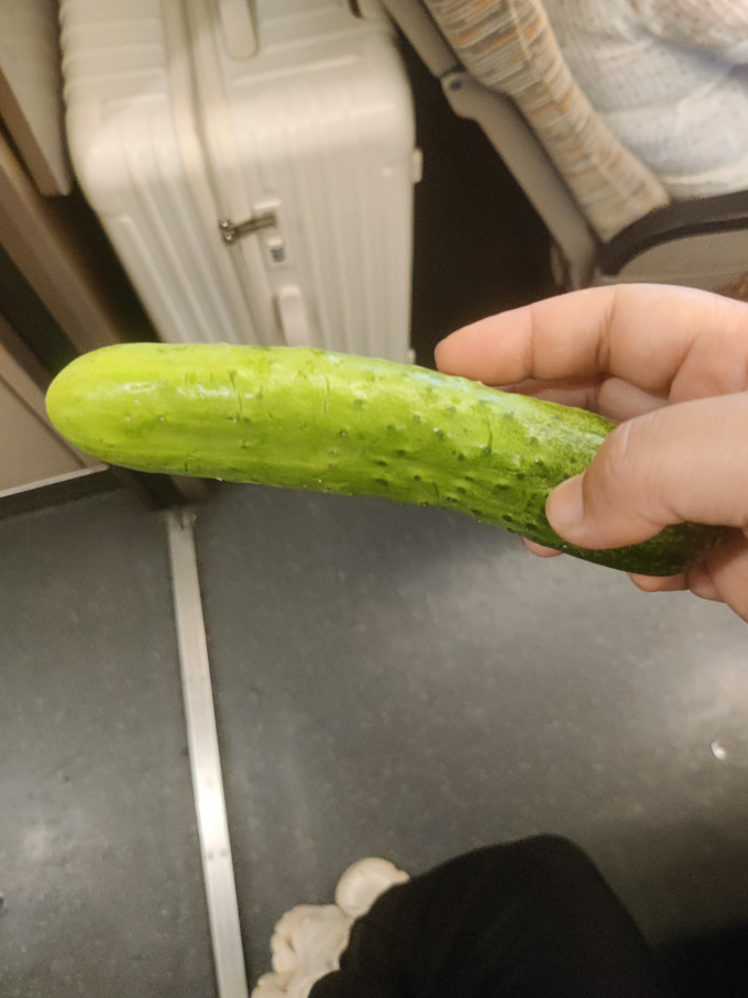 蔬菜