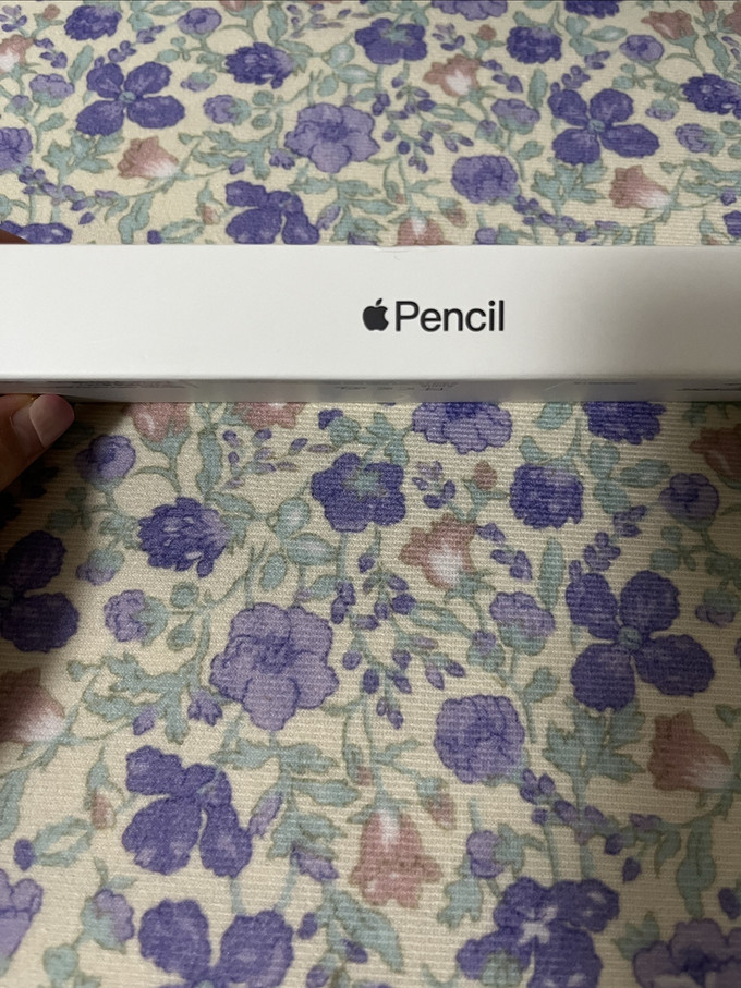 苹果触控笔
