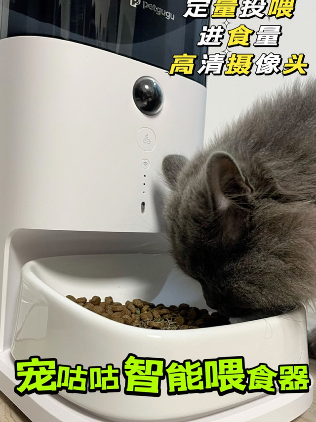 铲屎官出差不用怕！宠咕咕喂食器智能投喂