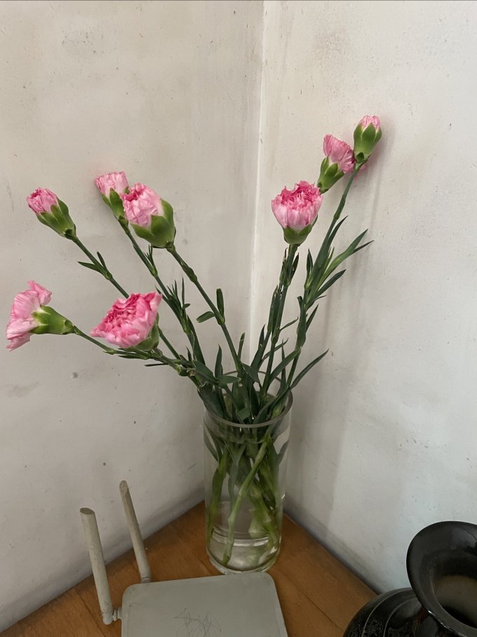 鲜花绿植