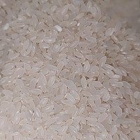 五常稻花香是东北大米还是香米？