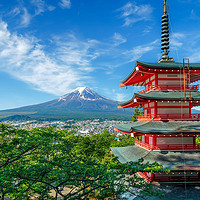 上海/北京领区 日本旅游签证