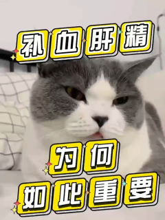 补血肝精为什么这么重要
