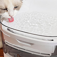 科技改变养宠生活，猫果然更爱喝流动活水！