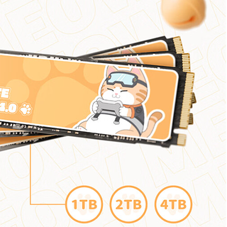 七彩虹推出 MEOW ME700“萌宠”SSD 固态硬盘，7.4GB/s读速、TLC颗粒
