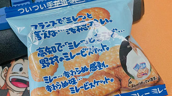 日本进口-野村天日海盐味小圆饼