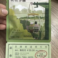 茶颜悦色冷泡茶包