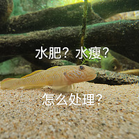 鱼缸里的水是肥还是瘦？如何判断处理？只要稳定都是好水