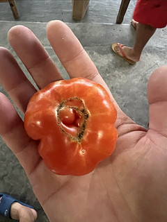 这个造型的番茄你吃过吗？