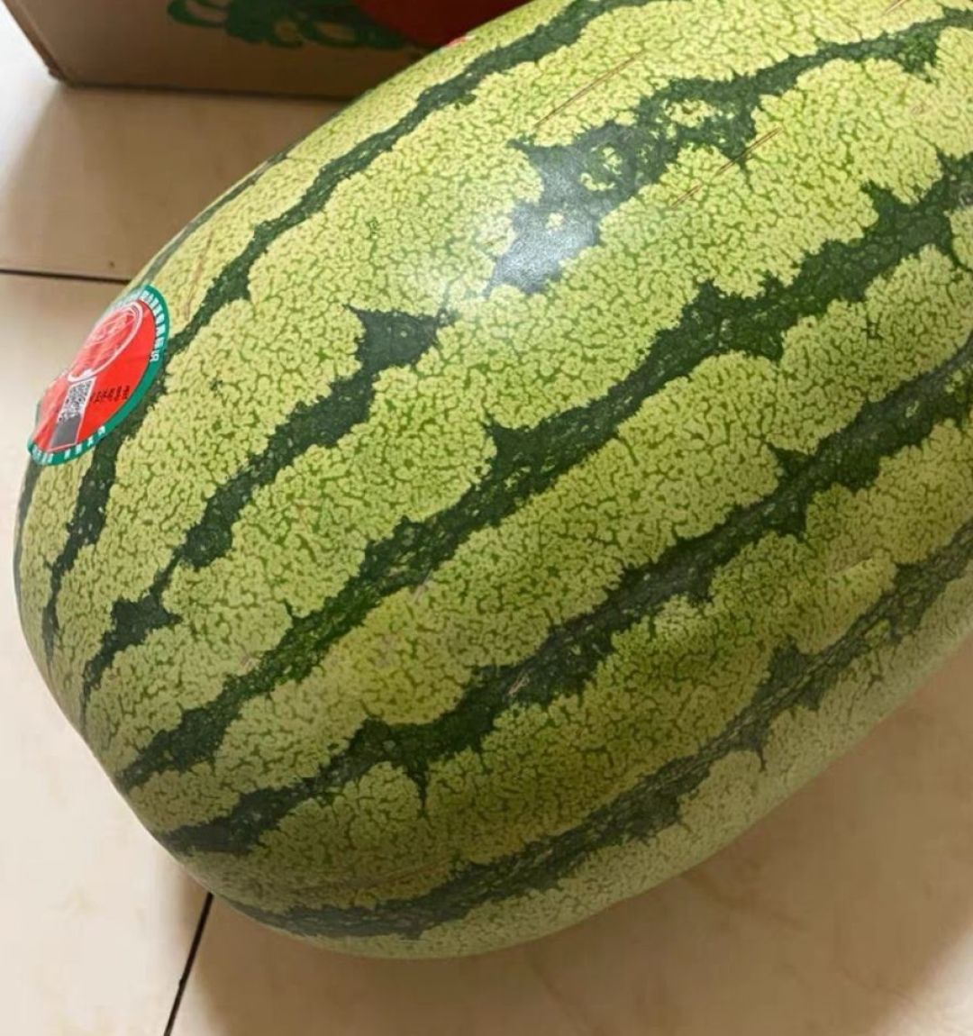 宁夏中卫硒砂瓜