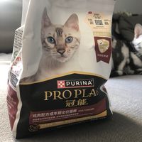 冠能猫粮猫咪爱吃