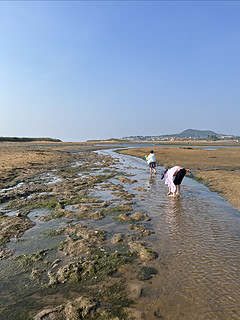 烟台跟着大叔去赶海，挖呀挖呀挖