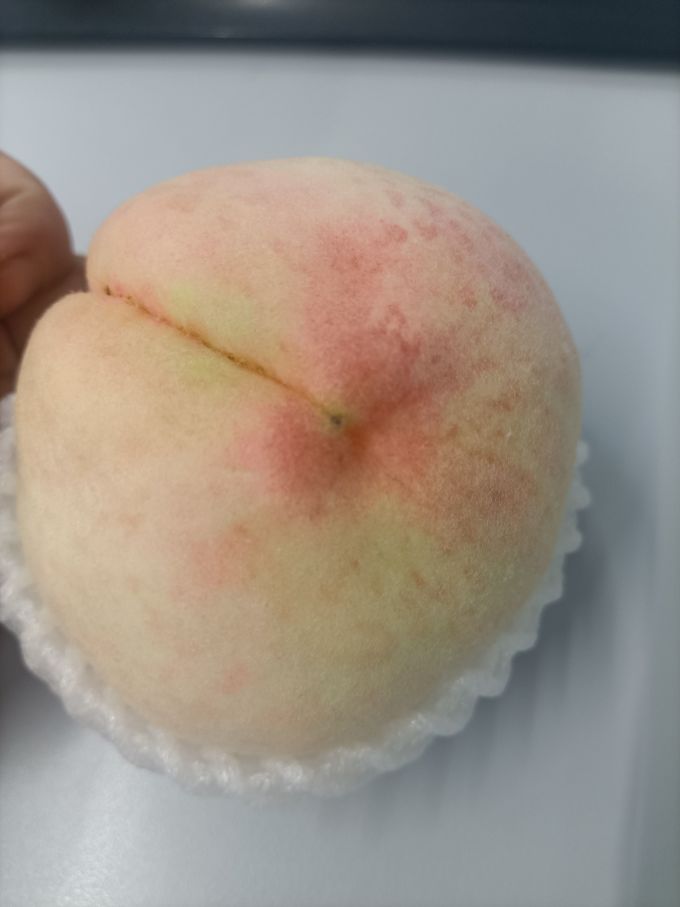 新鲜水果