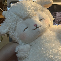 超级可爱的小羊🐑没有他我睡不着💤