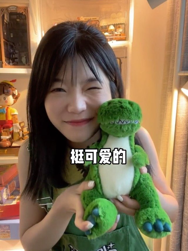 关于我买的抱抱龙周边，超可爱！