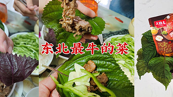 东北最牛X的一道下酒菜——紫苏牛肉——美食分享