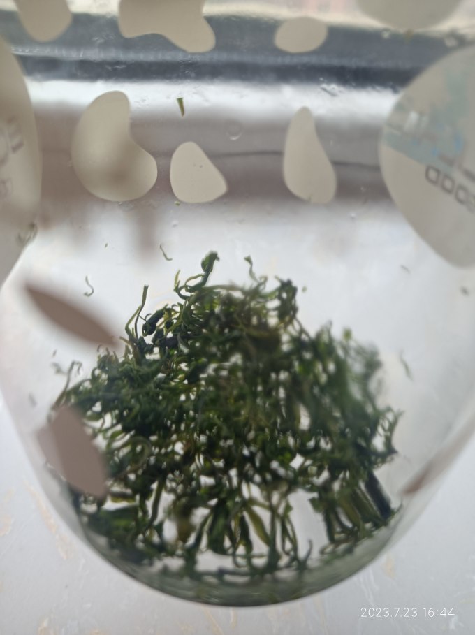 中广德盛花果茶