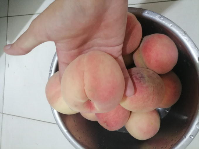 壹农壹果新鲜水果