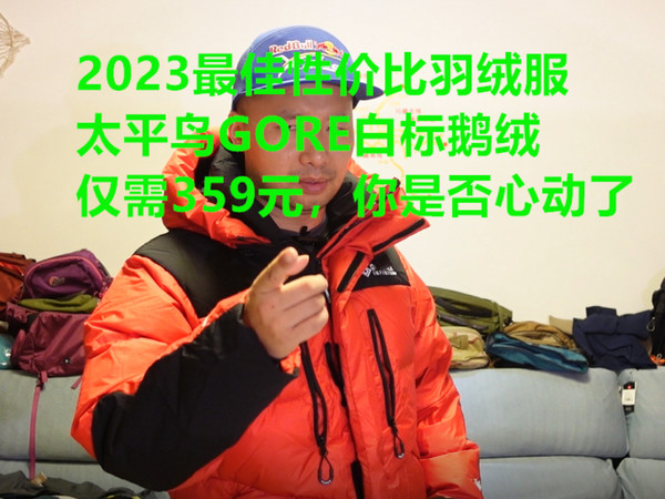 359元别犹豫 太平鸟 GORE白标登山羽绒服
