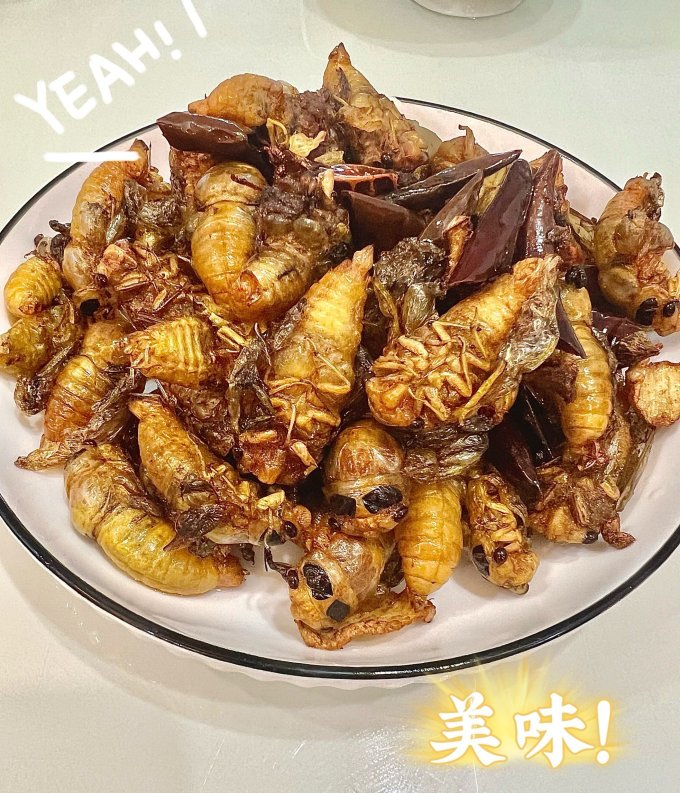 其他肉类